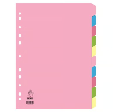 Subject Dividers (10 Tabs)