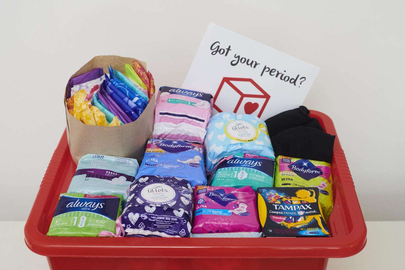 Student Essentials - Sanitary  Products